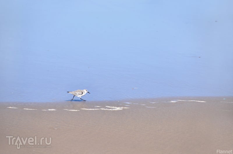 Тарфая. Небо, море, песок и одиночество / Фото из Марокко