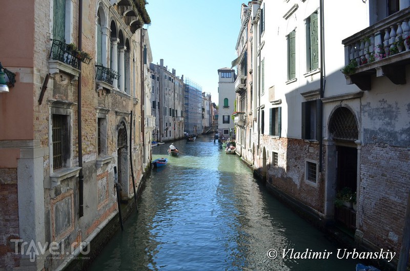 Переполох в Венеции / Италия