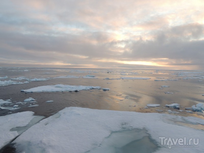 Арктические льды / Фото из России