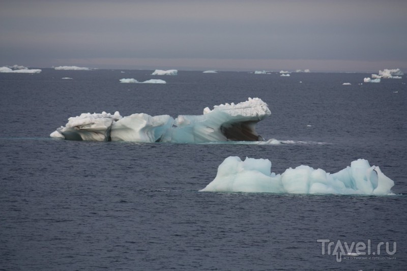 Арктические льды / Фото из России