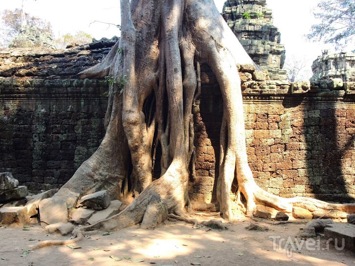 Ангкор, еще Ангкор (и не только) / Камбоджа