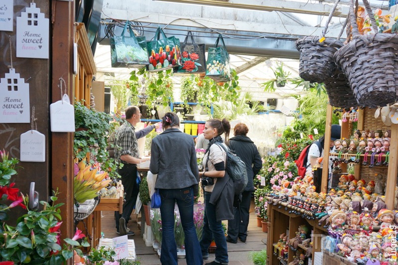 Цветочный рынок Bloemenmarkt в Амстердаме / Нидерланды