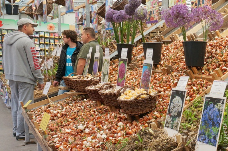 Цветочный рынок Bloemenmarkt в Амстердаме / Нидерланды