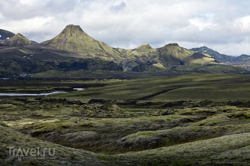 Чёрные берега Рейнисфьяра и кратеры вулкана Лаки / Фото из Исландии