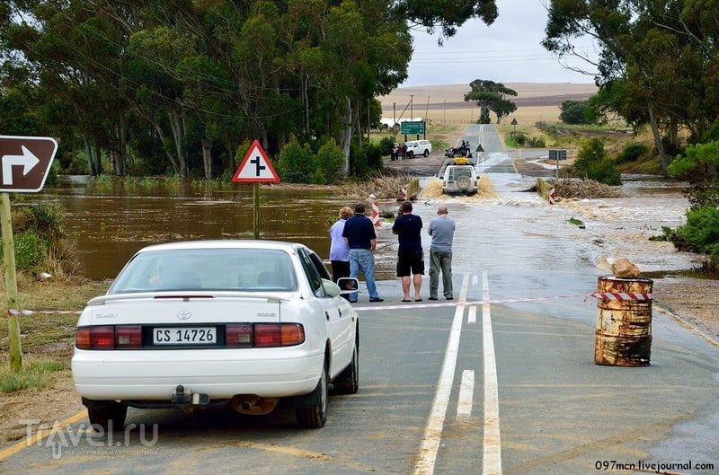 Африканское сафари. Наводнение на мысе Игольном / Фото из ЮАР