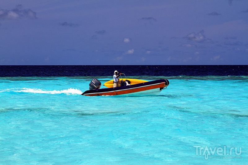 Мальдивы. Необитаемый остров / Фото с Мальдив