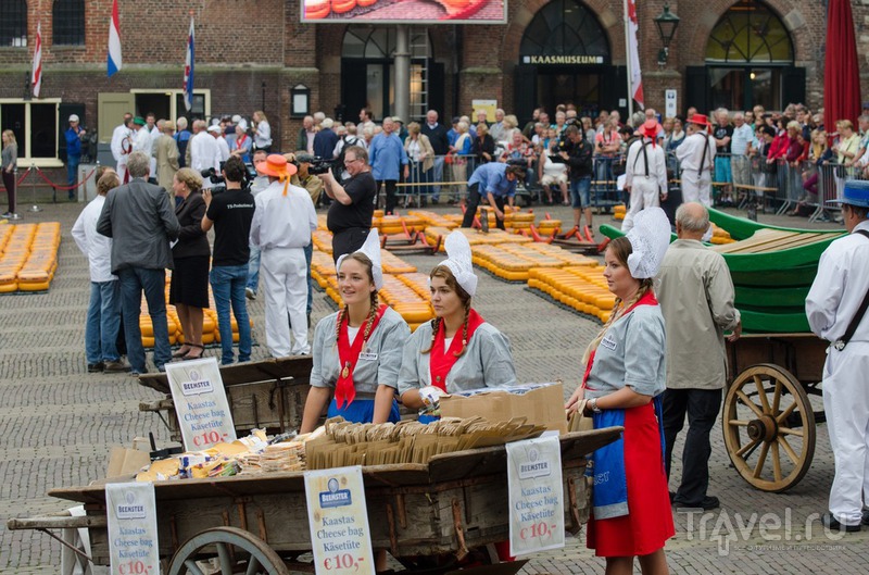 Сырная ярмарка в Алкмааре / Нидерланды