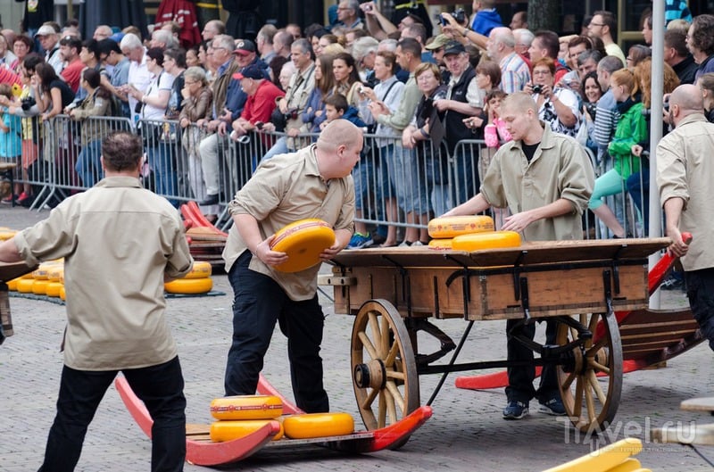 Сырная ярмарка в Алкмааре / Нидерланды