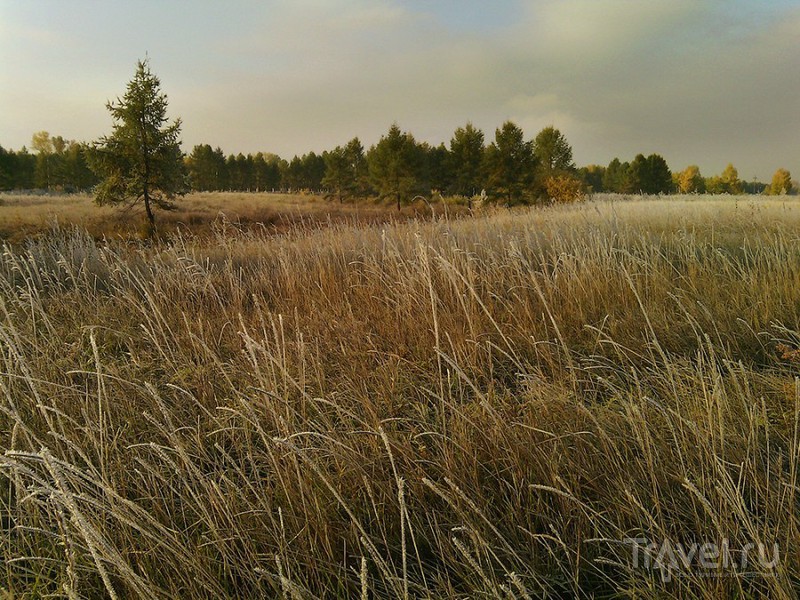 Осень в Красноярске / Фото из России