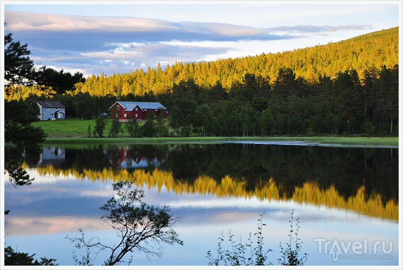 Очарование высокогорной норвежской тундры / Фото из Норвегии