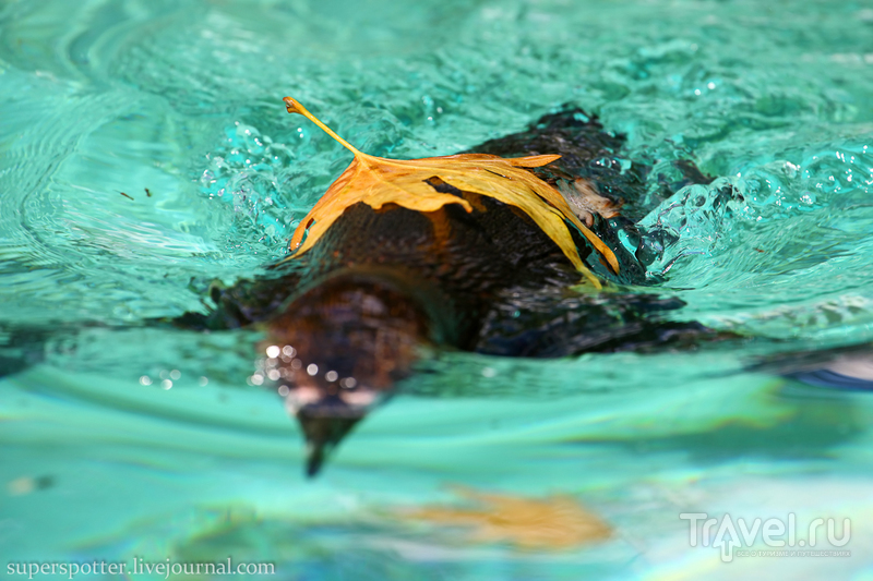 . ZSL London Zoo /   