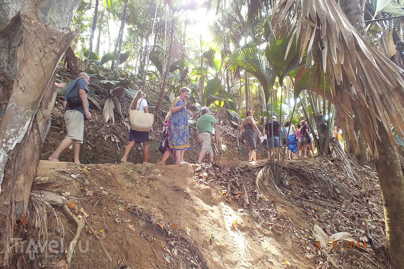 .  .   Vallee de Mai.    /   