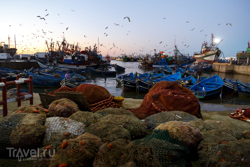 Золотое утро в порту Эссуэйры / Фото из Марокко