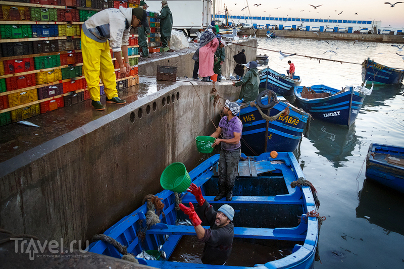 Золотое утро в порту Эссуэйры / Фото из Марокко
