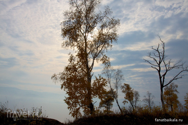 Осенний ковер Ангасолки / Фото из России