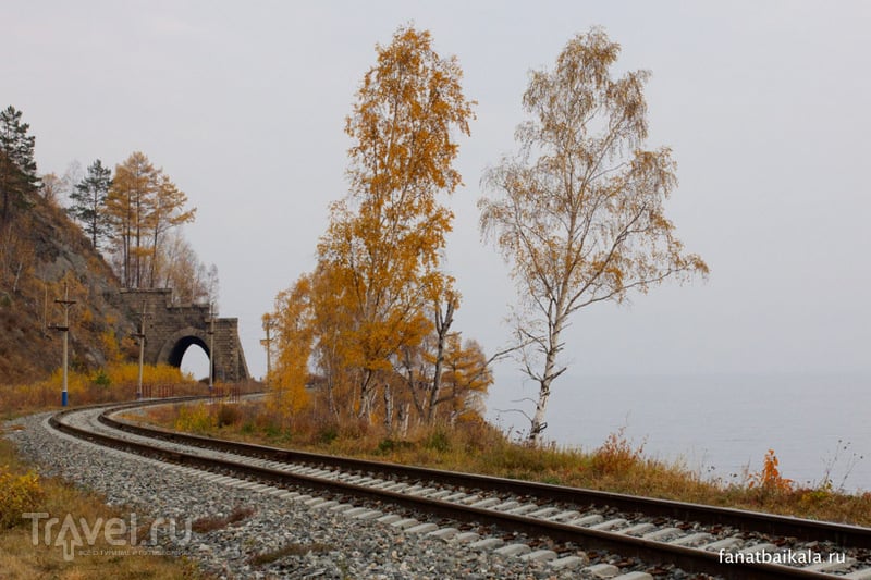 Осенний ковер Ангасолки / Фото из России