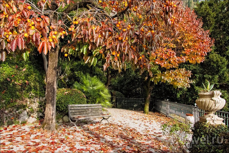 Осенний Комо: Варенна / Фото из Италии