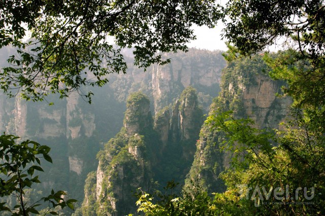 Китайская "Пандора". Национальный парк Чжанцзяцзе, горы Улинъюань / Китай