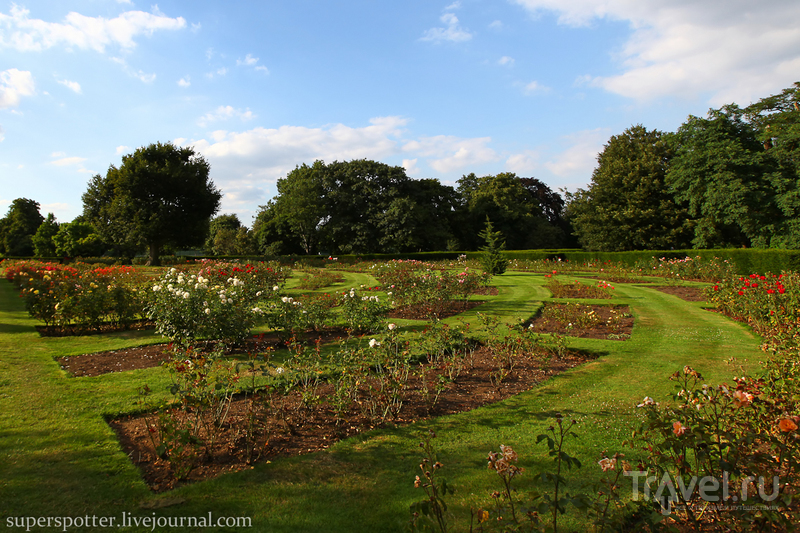 Лондон. Greenwich Park / Великобритания