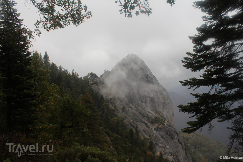 Sequoia and Kings Canyon  /   