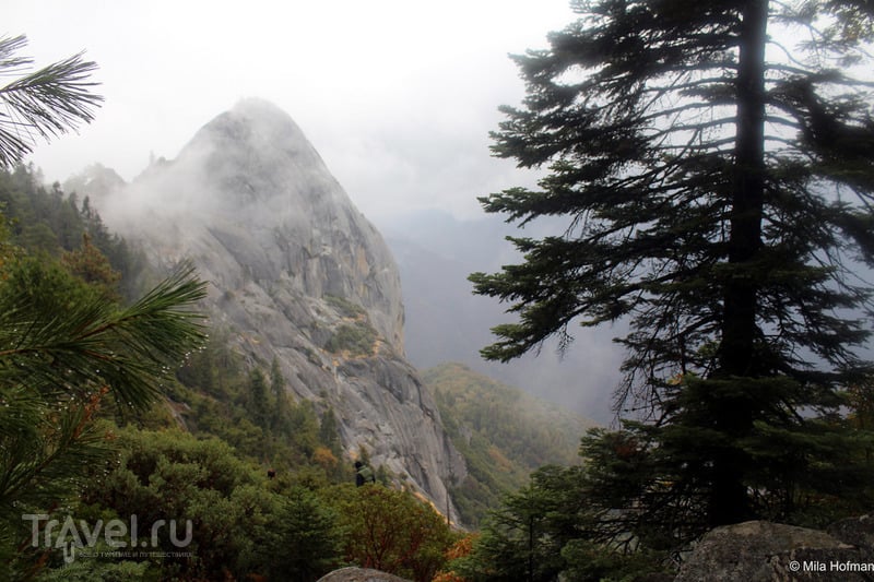 Sequoia and Kings Canyon  /   