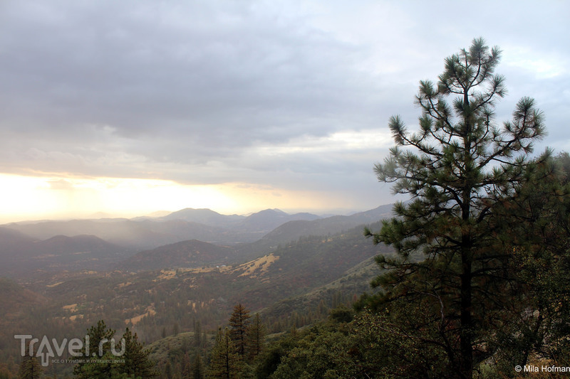 Sequoia and Kings Canyon парк / Фото из США