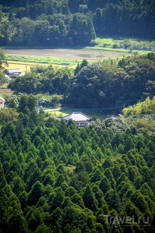 Ushiku Daibutsu Amida Nyorai -      / 