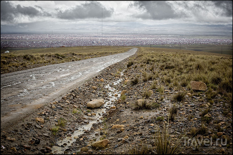 Чакалтайя / Фото из Боливии