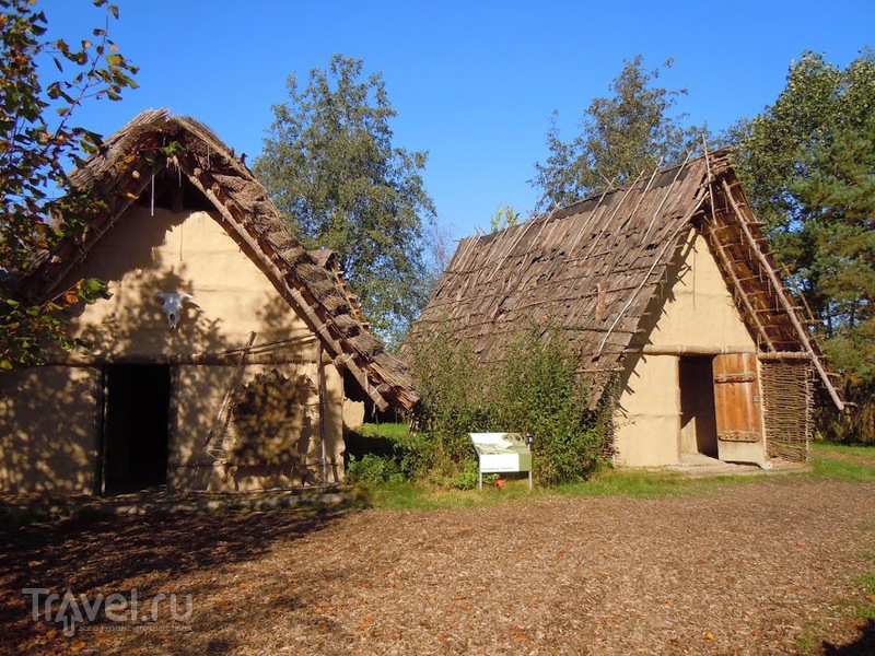     (Federsee Museum) / 