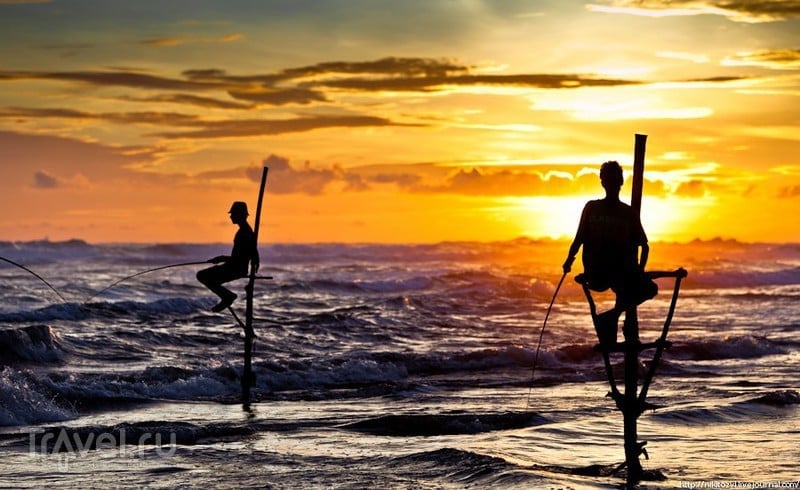 Шри-Ланка. Традиционная рыбалка на шесте / Фото со Шри-Ланки