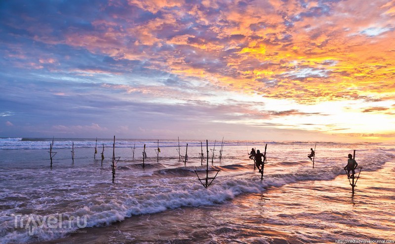 Шри-Ланка. Традиционная рыбалка на шесте / Фото со Шри-Ланки
