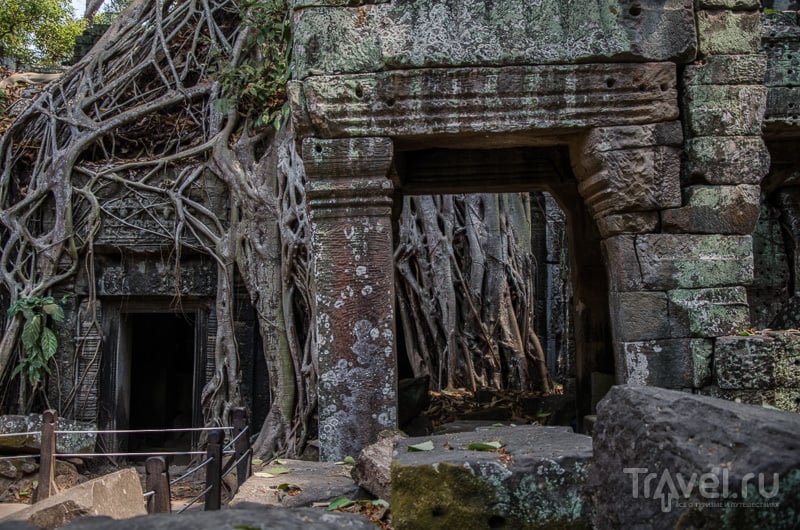 Строительство храма Та-Пром завершилось в 1186 году / Камбоджа