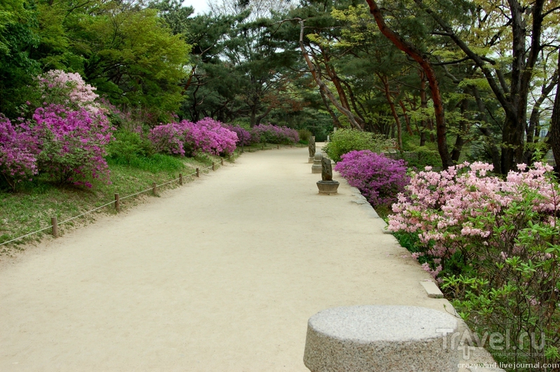 Сеул в апреле / Южная Корея