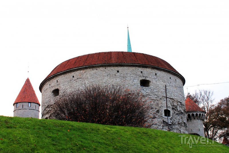 Таллин. Эстония / Эстония
