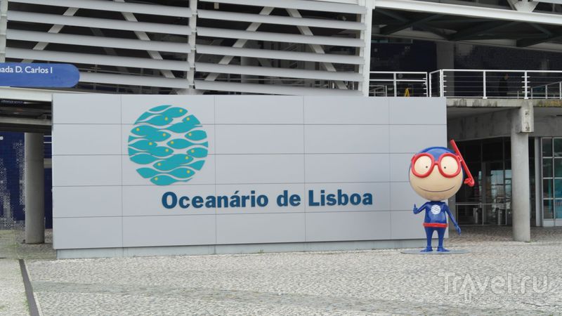 Как попасть в Лиссабонский океанариум / Португалия