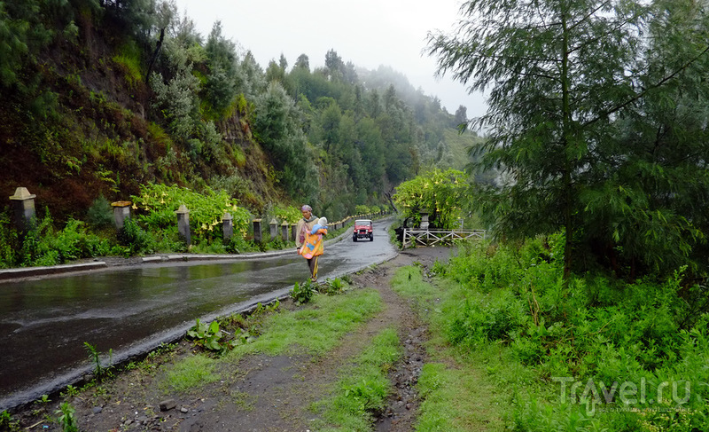 Бромо в сезон дождей / Фото из Индонезии
