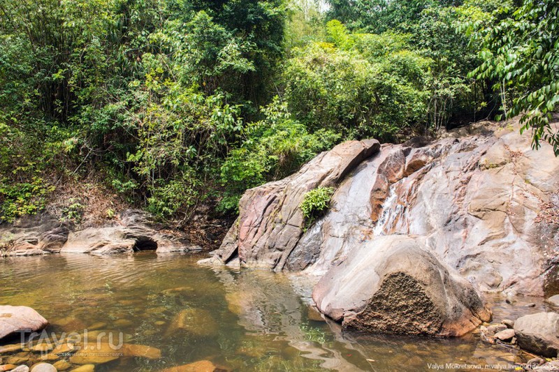 Слоны, черепахи и другие обитатели острова Пхукет / Таиланд