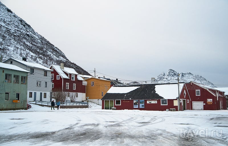 Заполярная Норвегия. Деревушка Gryllefjord / Фото из Норвегии