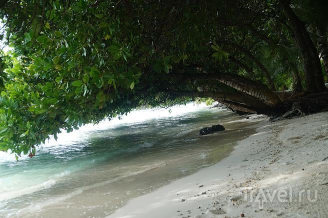 Пальмы над водою. Мальдивы / Мальдивы