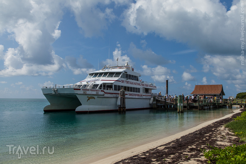   Dry Tortugas /   