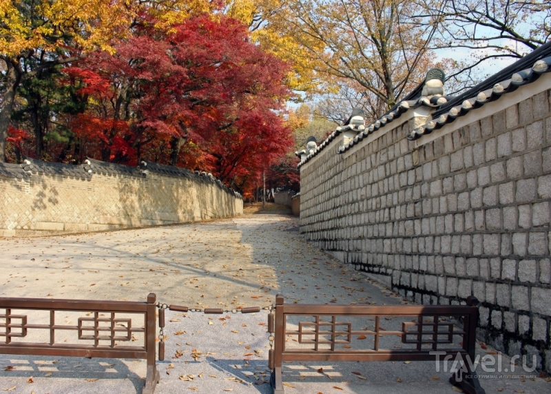 Секретный сад в Сеуле / Южная Корея