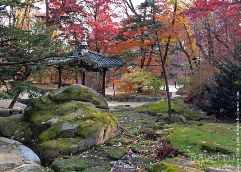 Секретный сад в Сеуле / Южная Корея