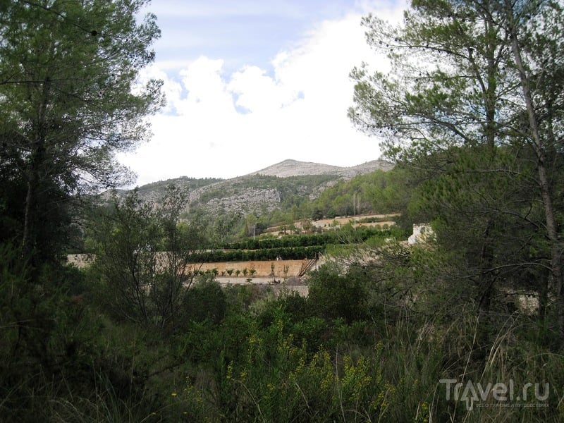 Природный парк Серпис / Фото из Испании