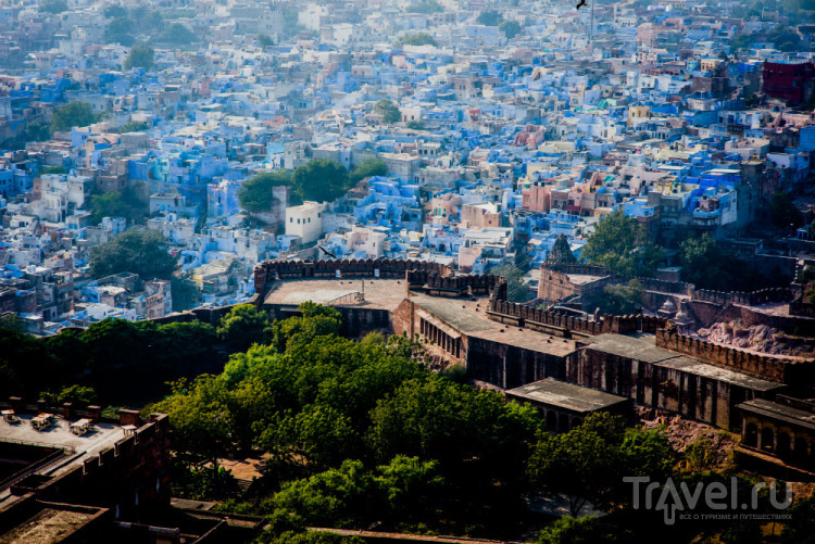 Джодхпур, Индия. The blue city of my dreams / Индия