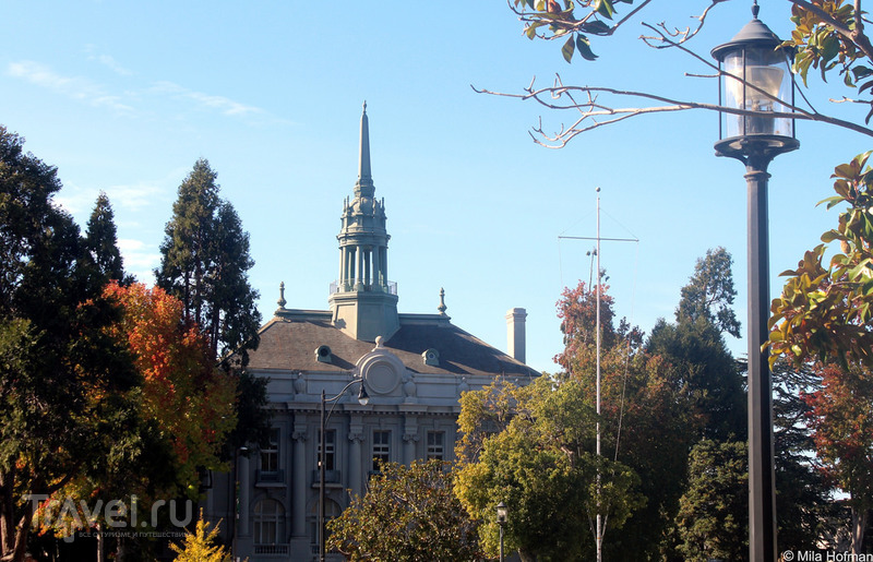  Berkeley /   