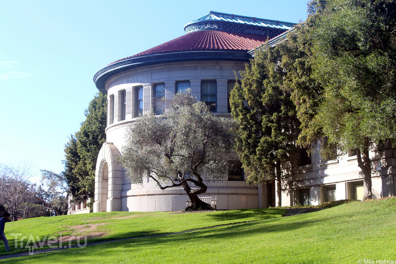 Осенний Berkeley / Фото из США