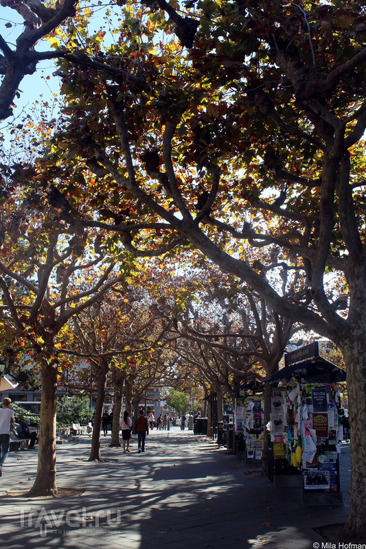 Осенний Berkeley / Фото из США