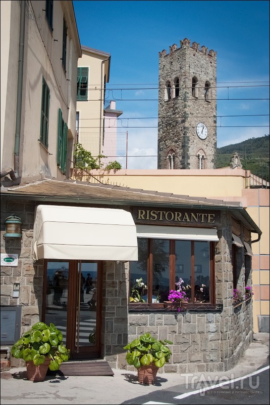 Национальный заповедник Cinque terre / Фото из Италии