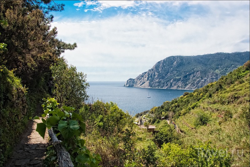 Национальный заповедник Cinque terre / Фото из Италии