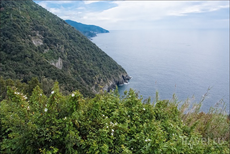 Национальный заповедник Cinque terre / Фото из Италии